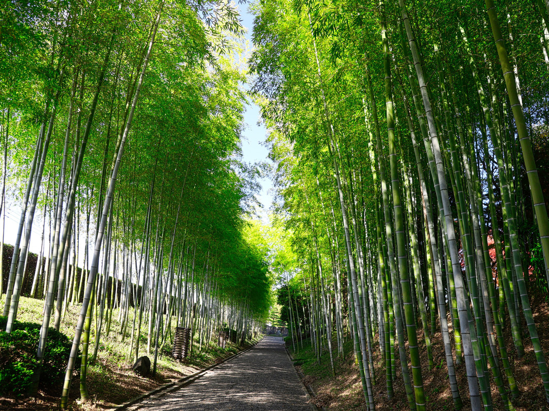 Hanataen Garden-越谷市必去景点