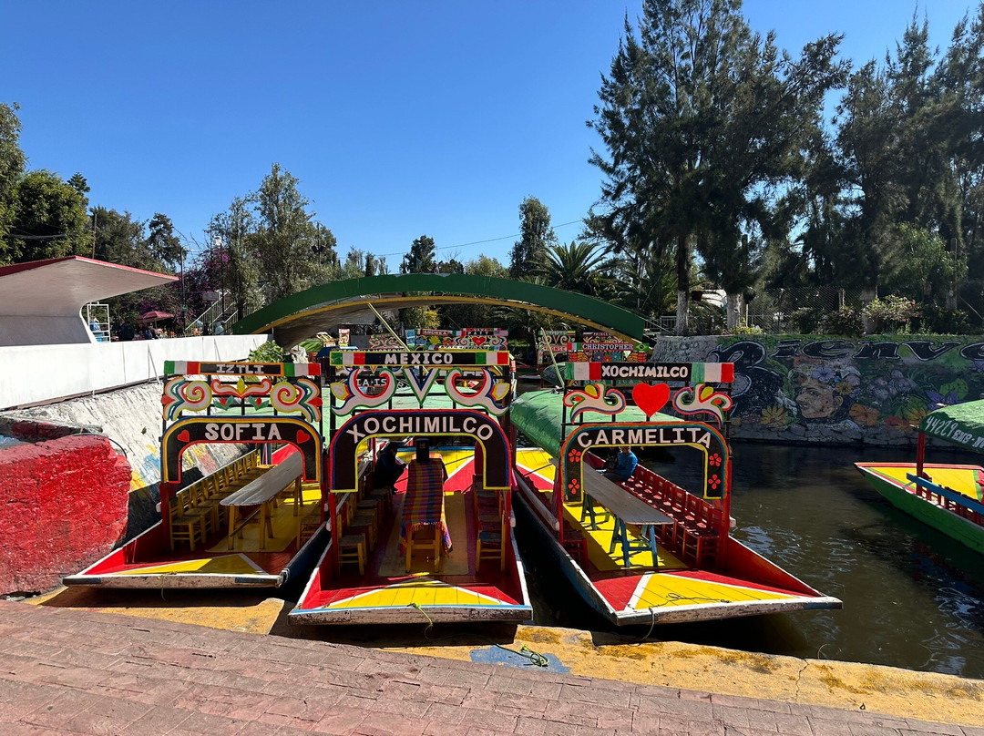 Stepping Mexico-墨西哥城必去景点