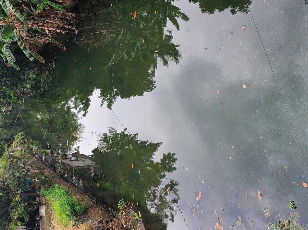 夏季侧住宅酒店主图