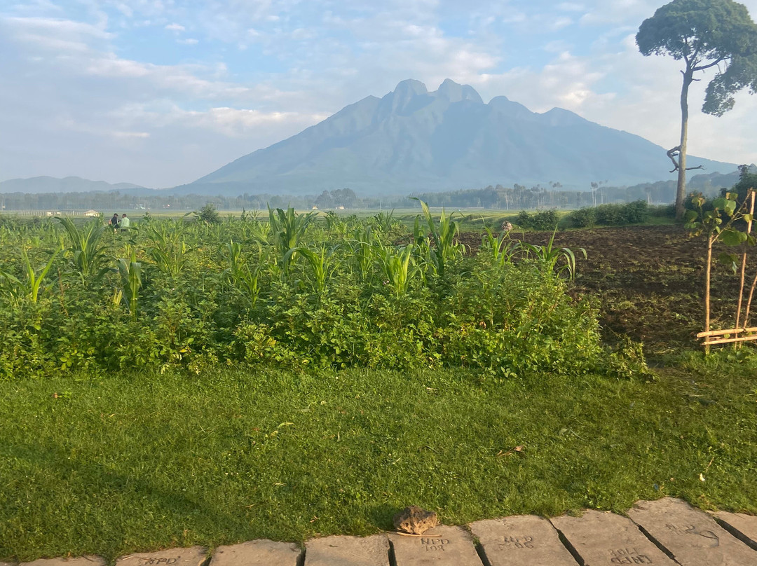 Gorilla Highlands-卡巴莱必去景点