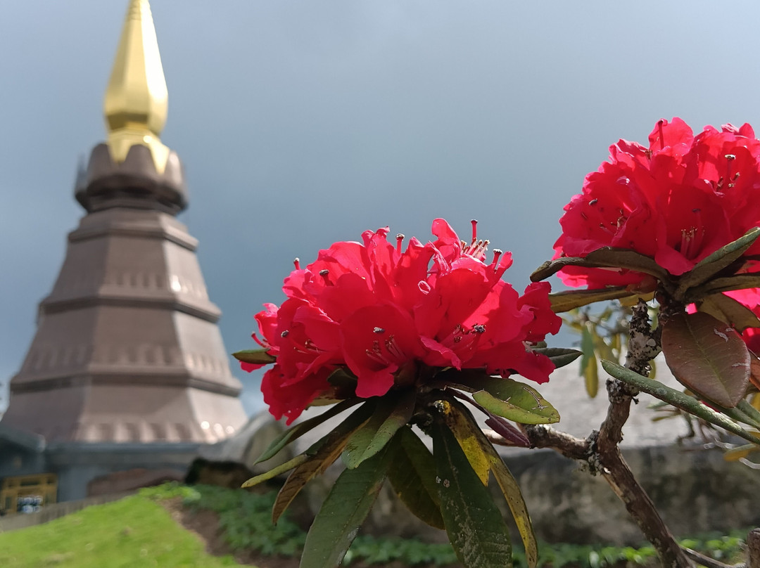 Twin Royal Stupas (Phra Maha Dhatu Nabha Metaneedol and Nabhapol Bhumisiri-宗通必去景点