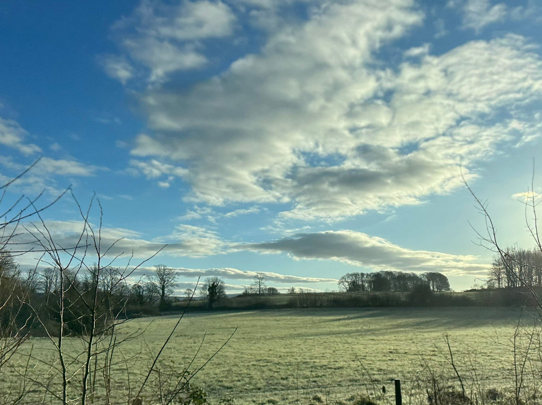 Dinefwr景点图片