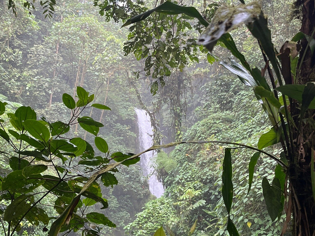 Selva Travel景点图片