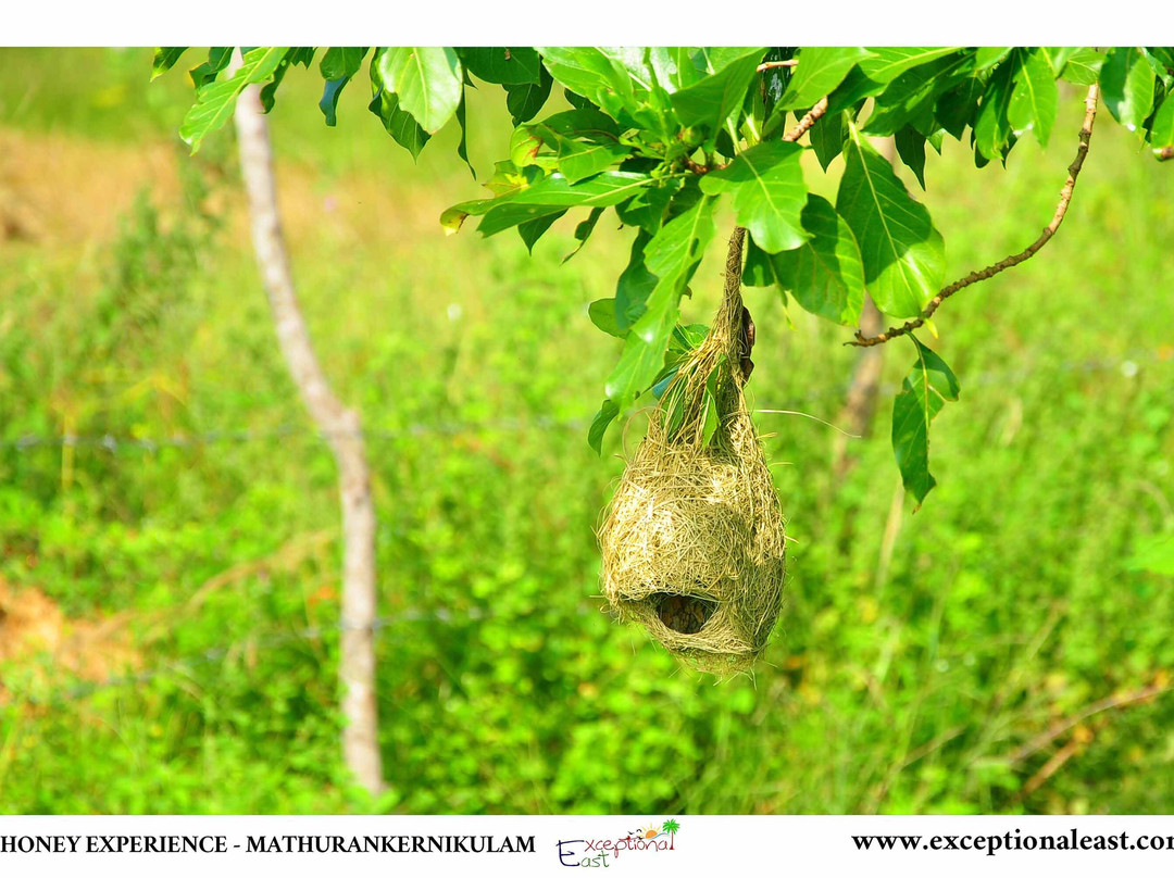 Veddas Culture Center-拜蒂克洛必去景点