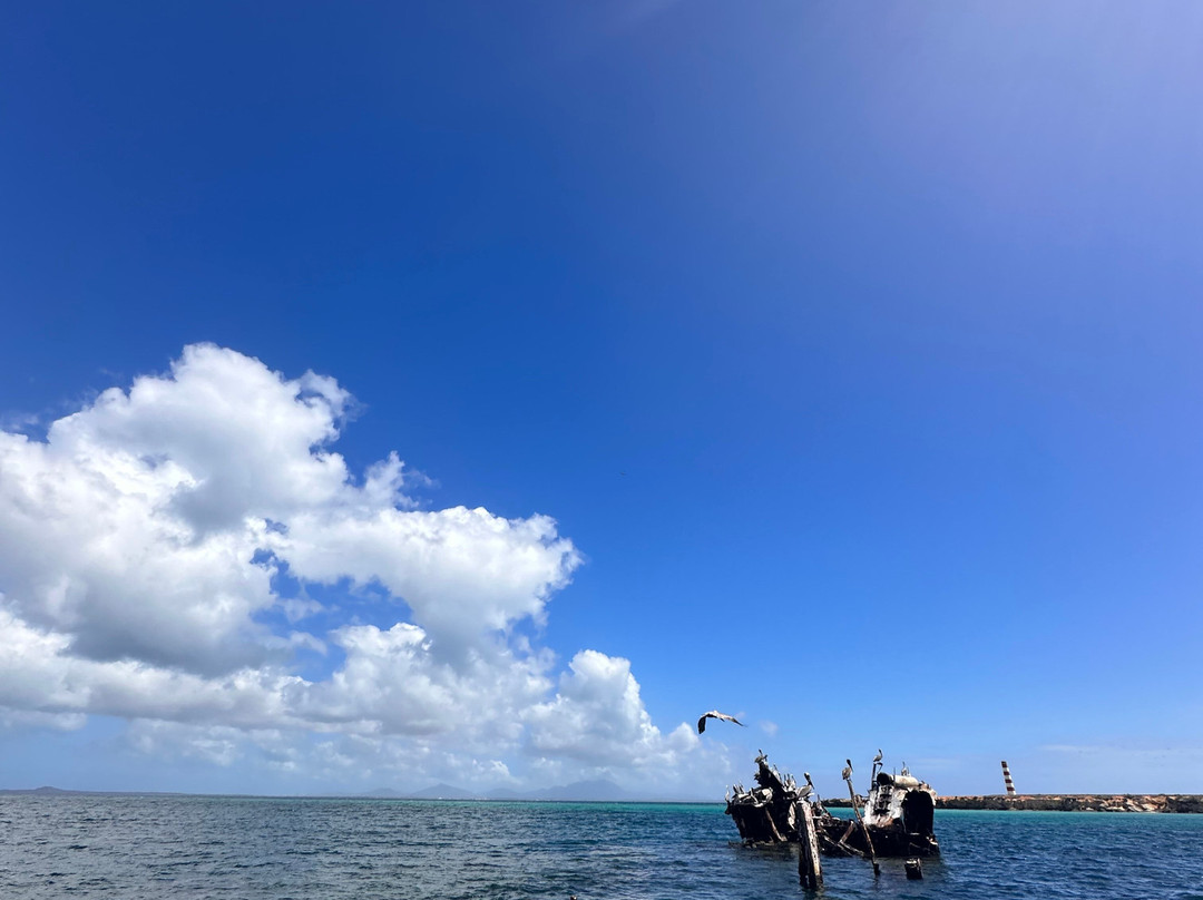 Scubadiving Margarita-El Tirano必去景点