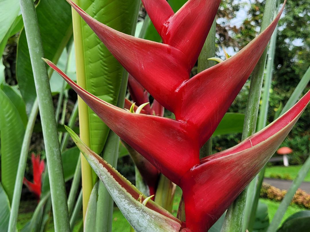 Playa Carrillo-Playa Carrillo必去景点