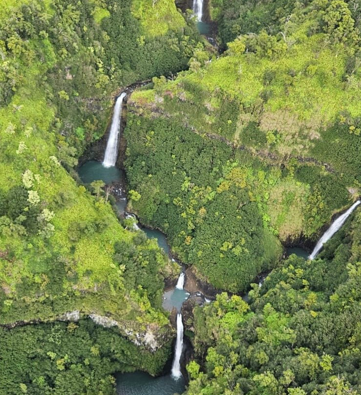 Airborne Aviation Tours-可爱岛必去景点