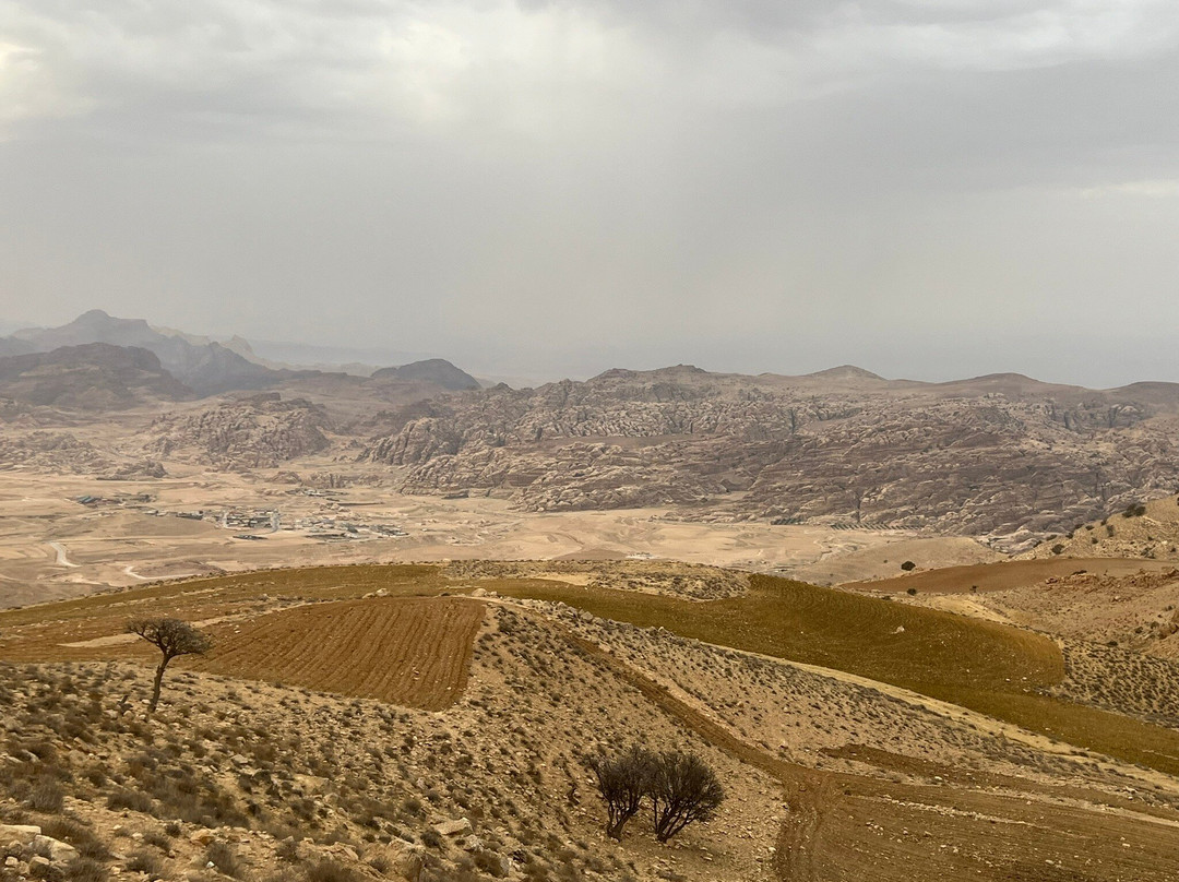 Al Amir Transportation Services-安曼必去景点