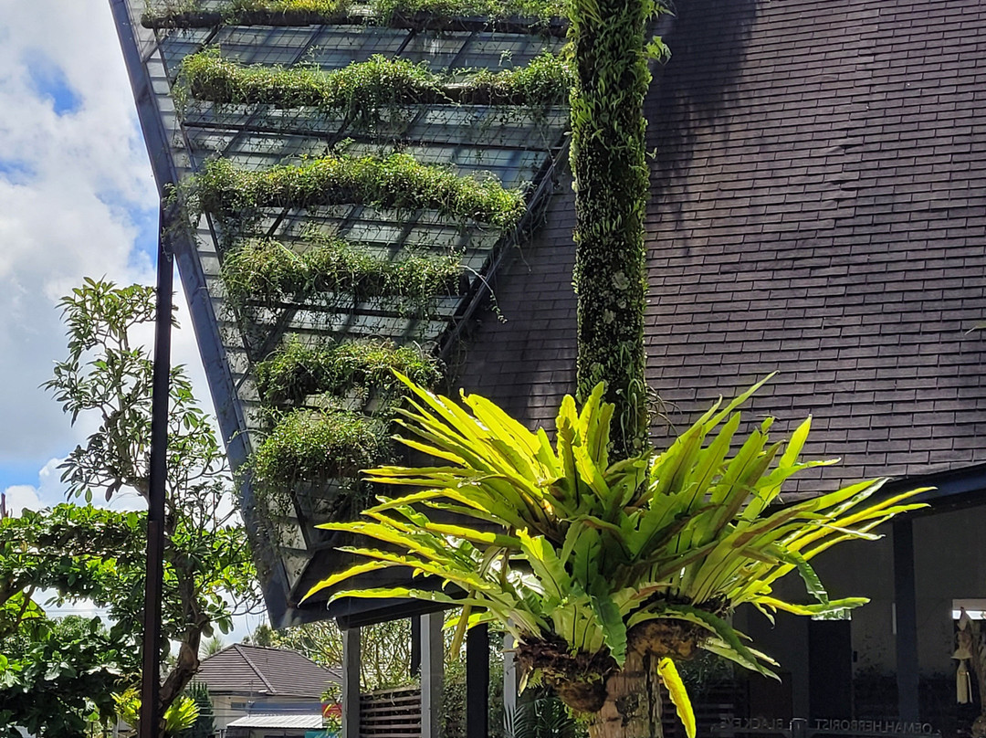 Secret Garden Village-达巴南必去景点