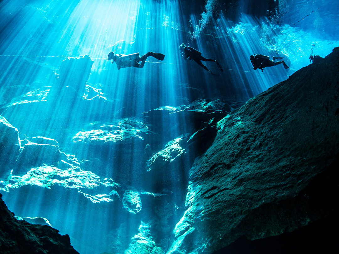 Pura Vida Diving-普拉亚德尔卡曼必去景点