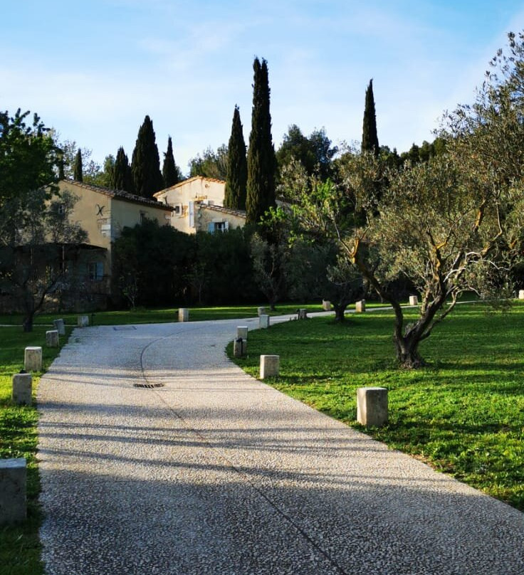 Hôtel Les Petites Maisons - Hameau des Baux主图