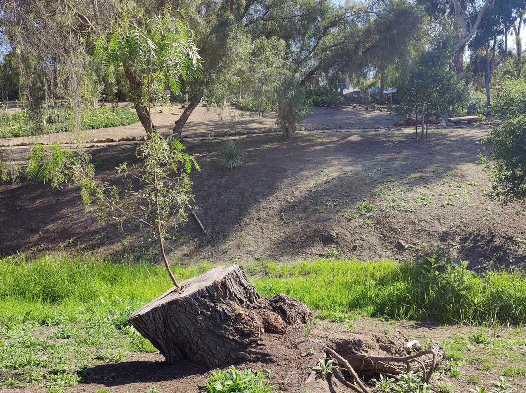 Leo Carrillo Ranch Historic Park-卡尔斯巴德必去景点