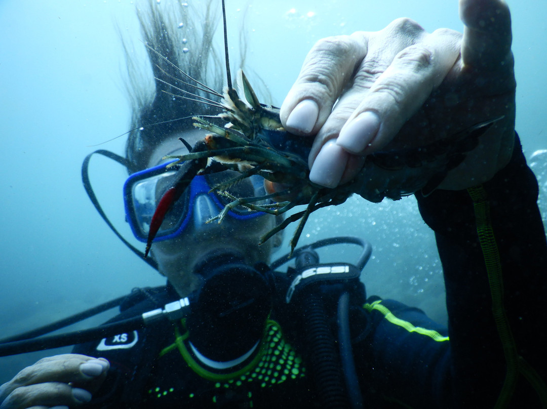 Buceo en Las Estacas景点图片