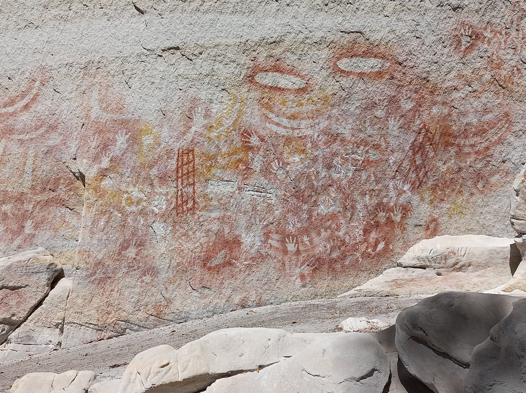 Central Queensland Nature Tours-罗尔斯顿必去景点