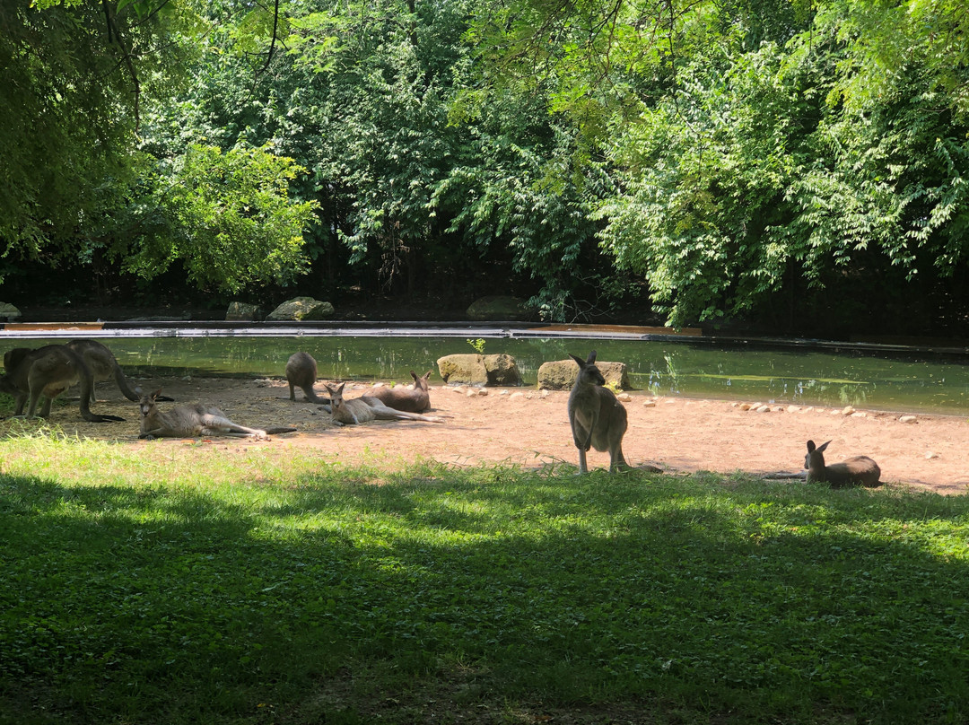 Fort Wayne Zoo-韦恩堡必去景点
