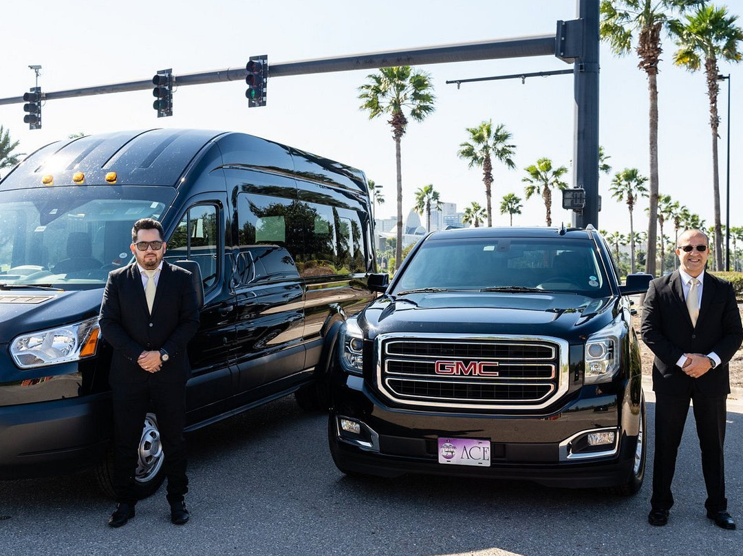 Ace Luxury Transportation-奥兰多必去景点