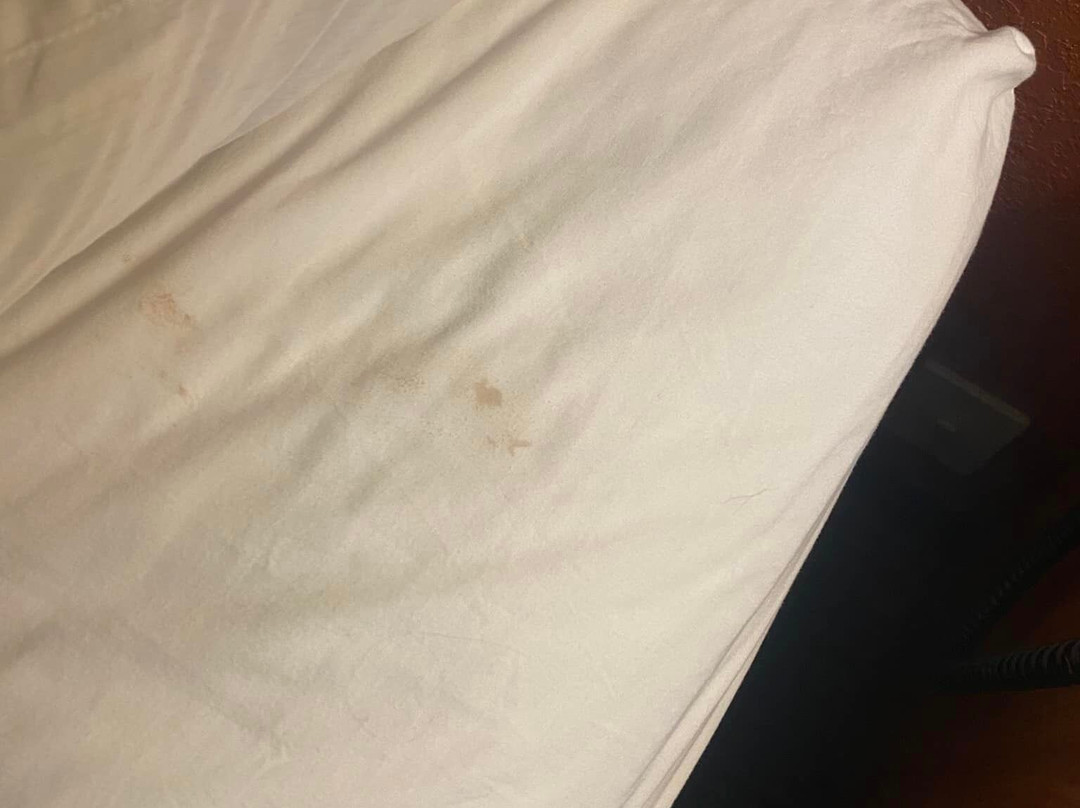 马斯基根希尔顿恒庭酒店主图