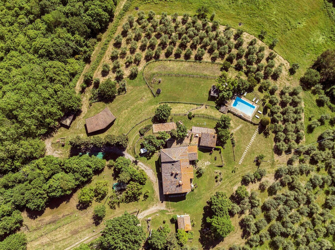 Agriturismo La Sala主图