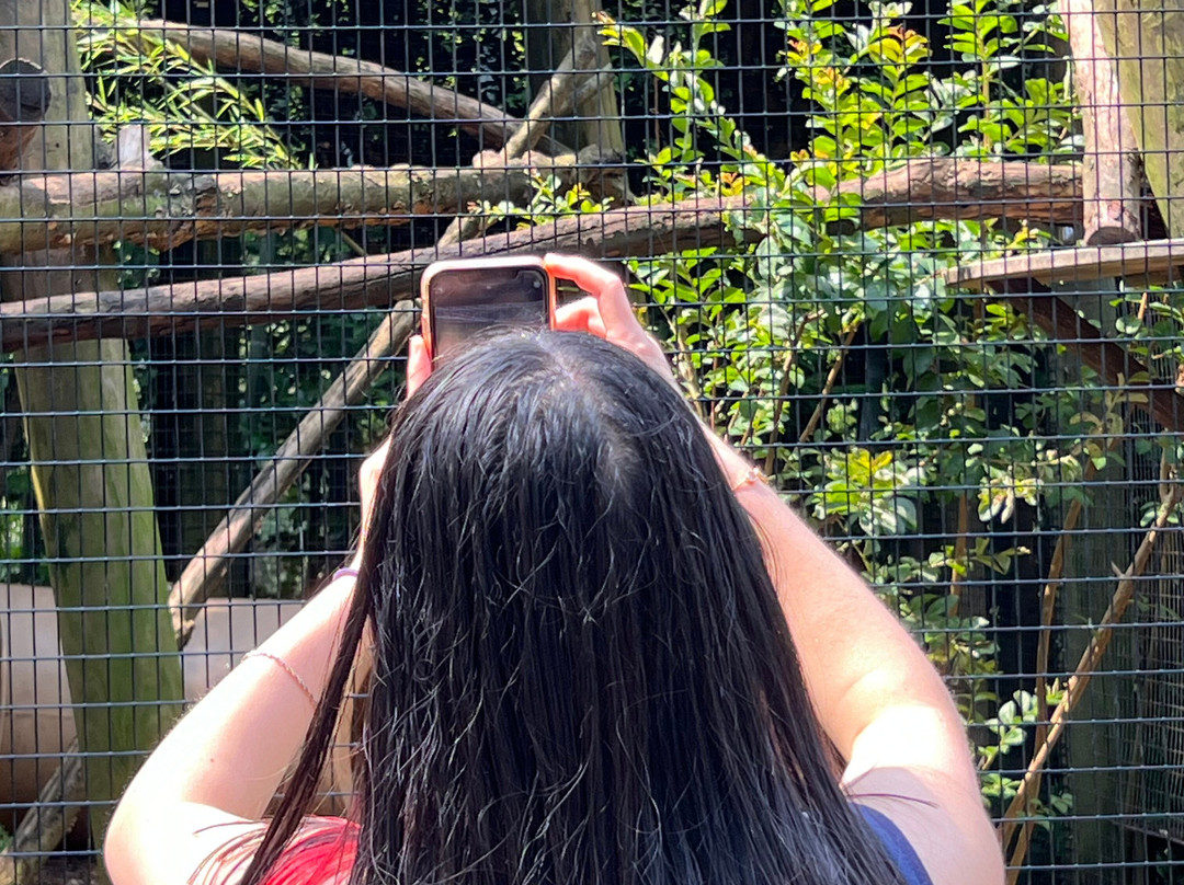 Greenville Zoo景点图片
