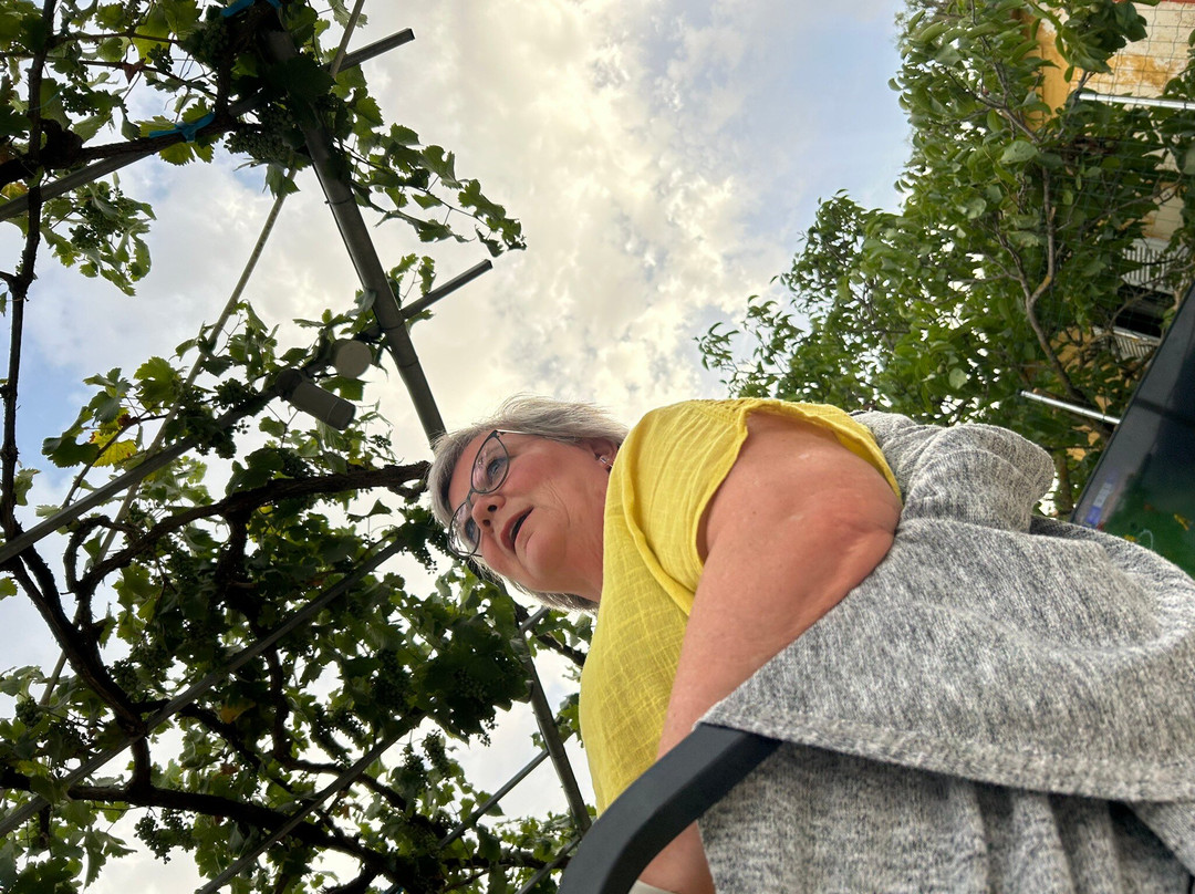 Divino Wines and Vinegar-Pesada必去景点