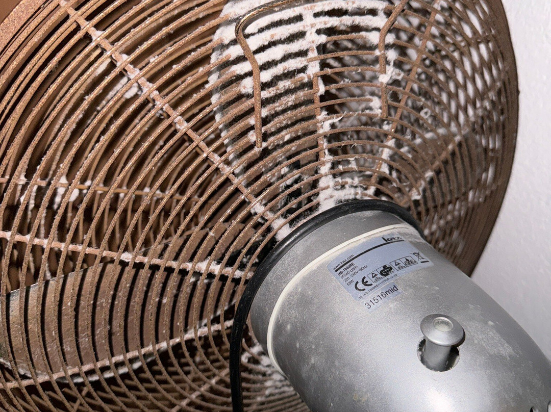 Panoramahotel Nocturnes主图