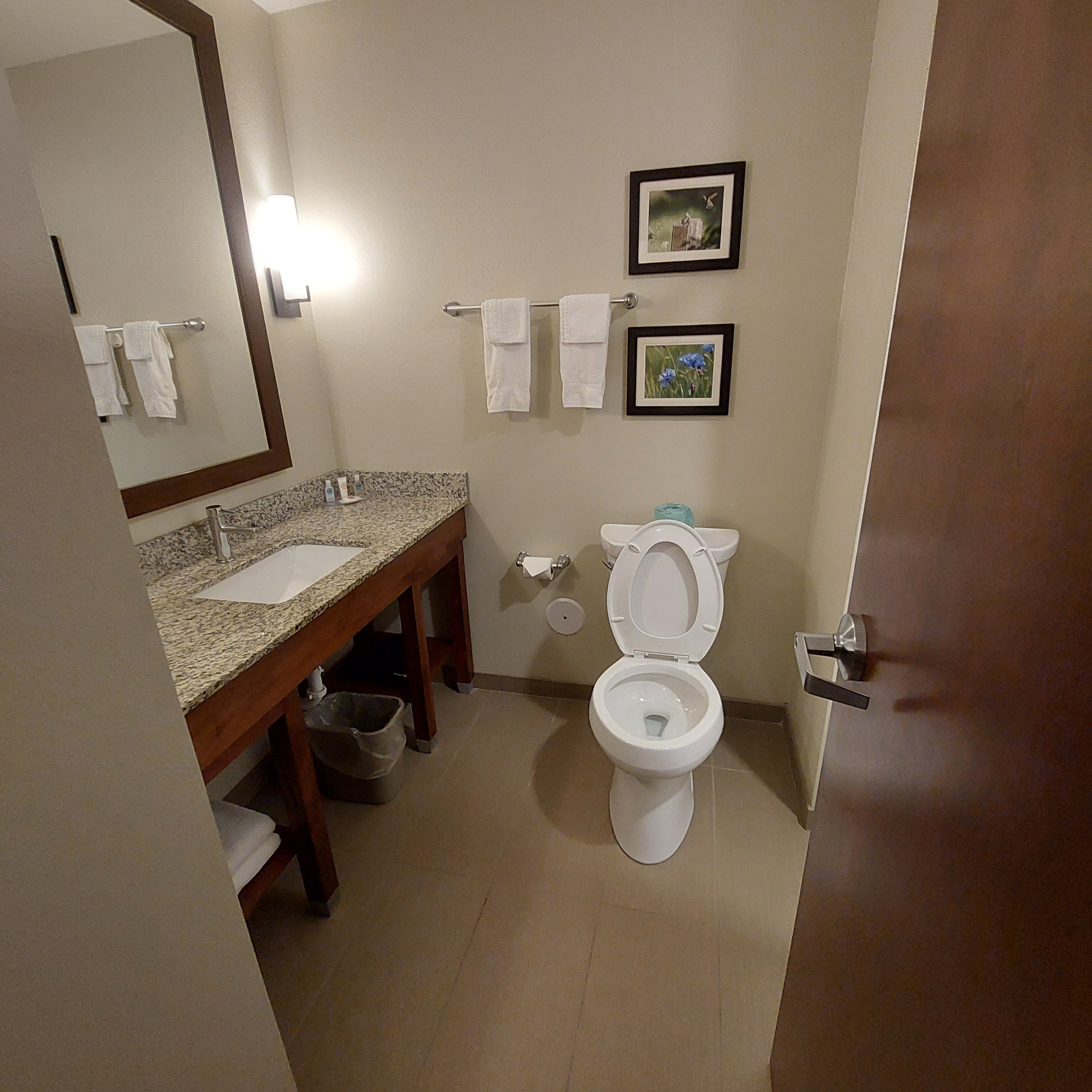 Comfort Inn White House-浴室