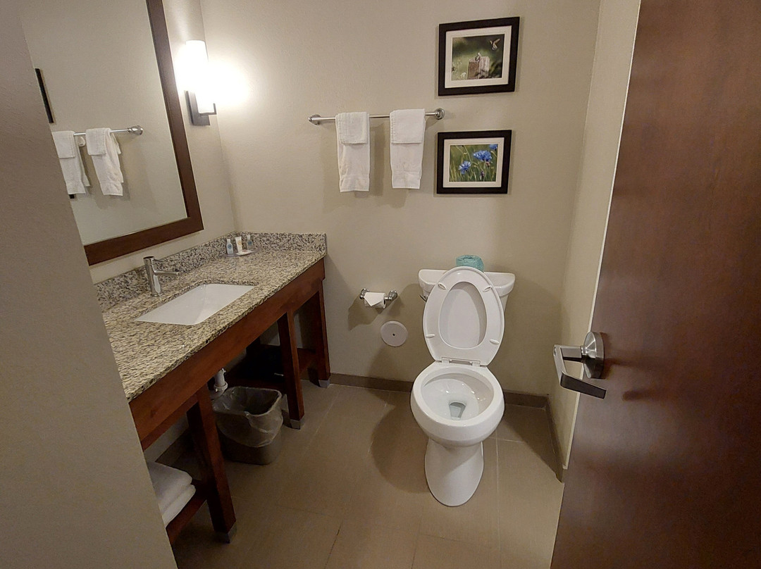 Comfort Inn White House主图