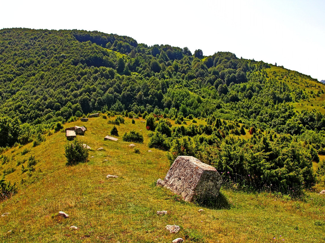 Nekropola stećaka Umoljani景点图片