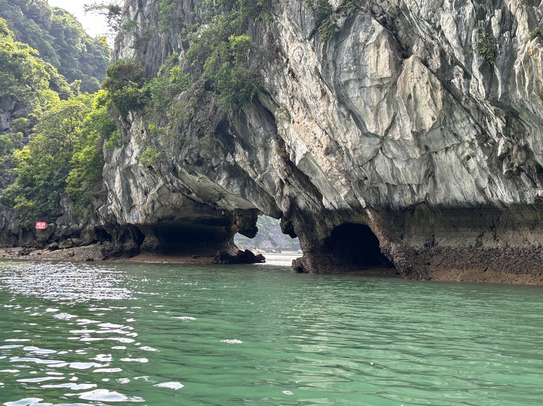 Rosy Cruise-海防必去景点