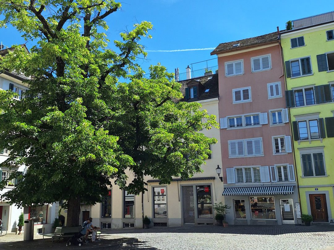 die Stadtflüsterer-苏黎世必去景点