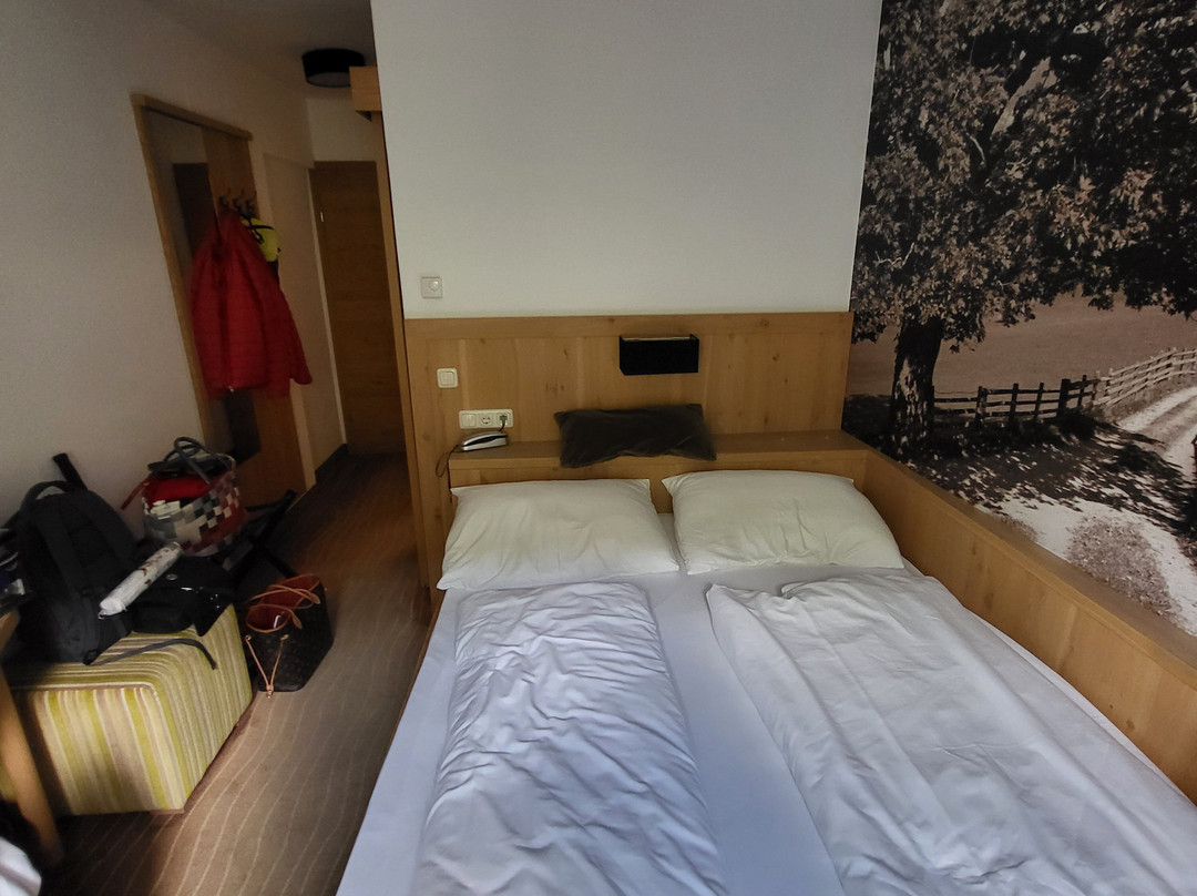 Hotel Grüner Baum主图