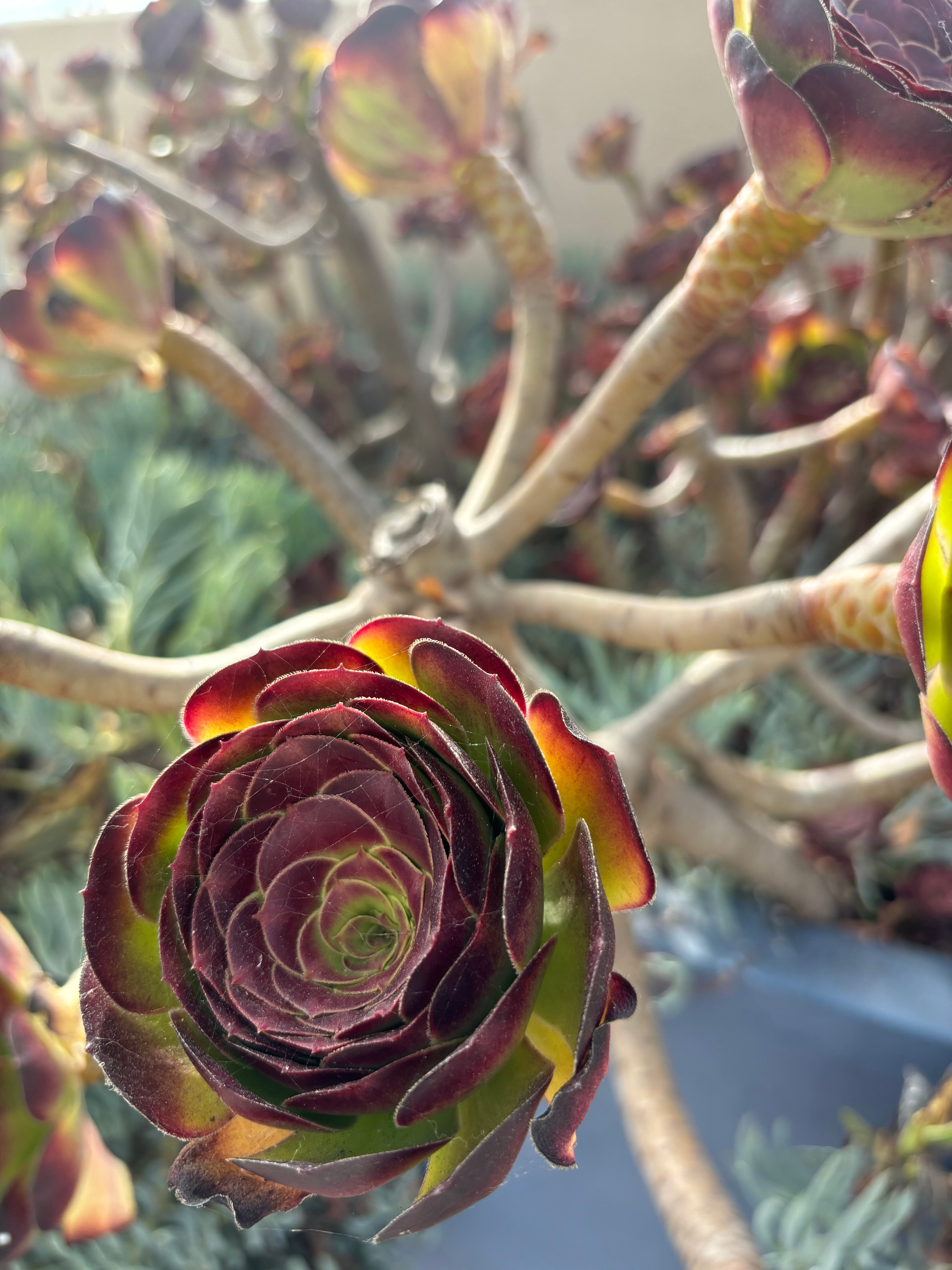 希尔顿花园玛丽安德尔湾酒店-浴室