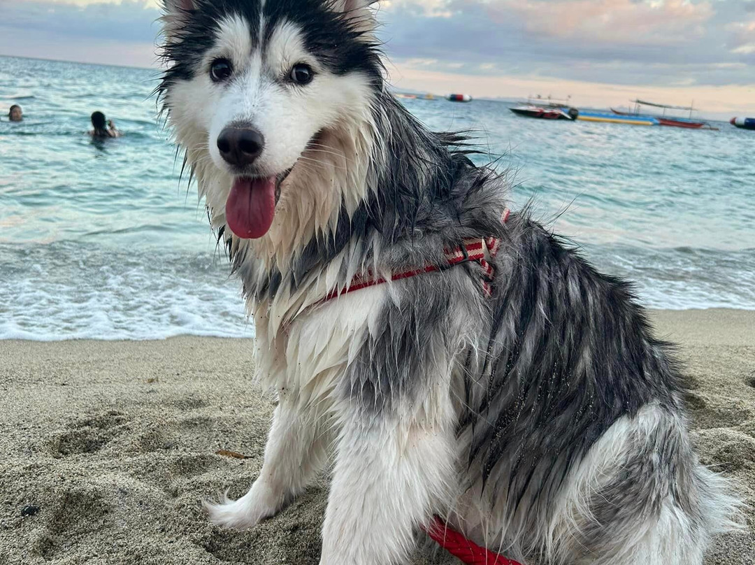 奥库瓦维德海滩度假村酒店主图