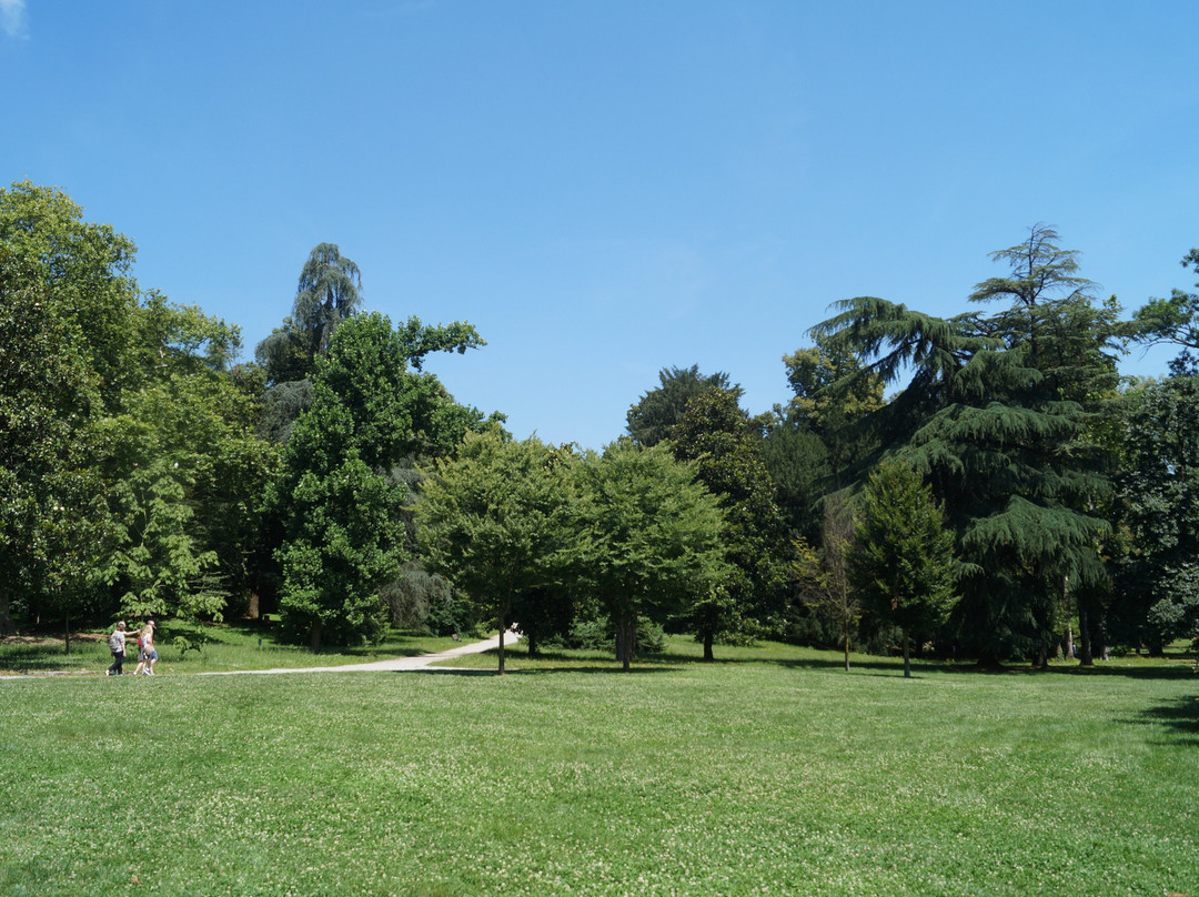 I Giardini della Villa Reale景点图片