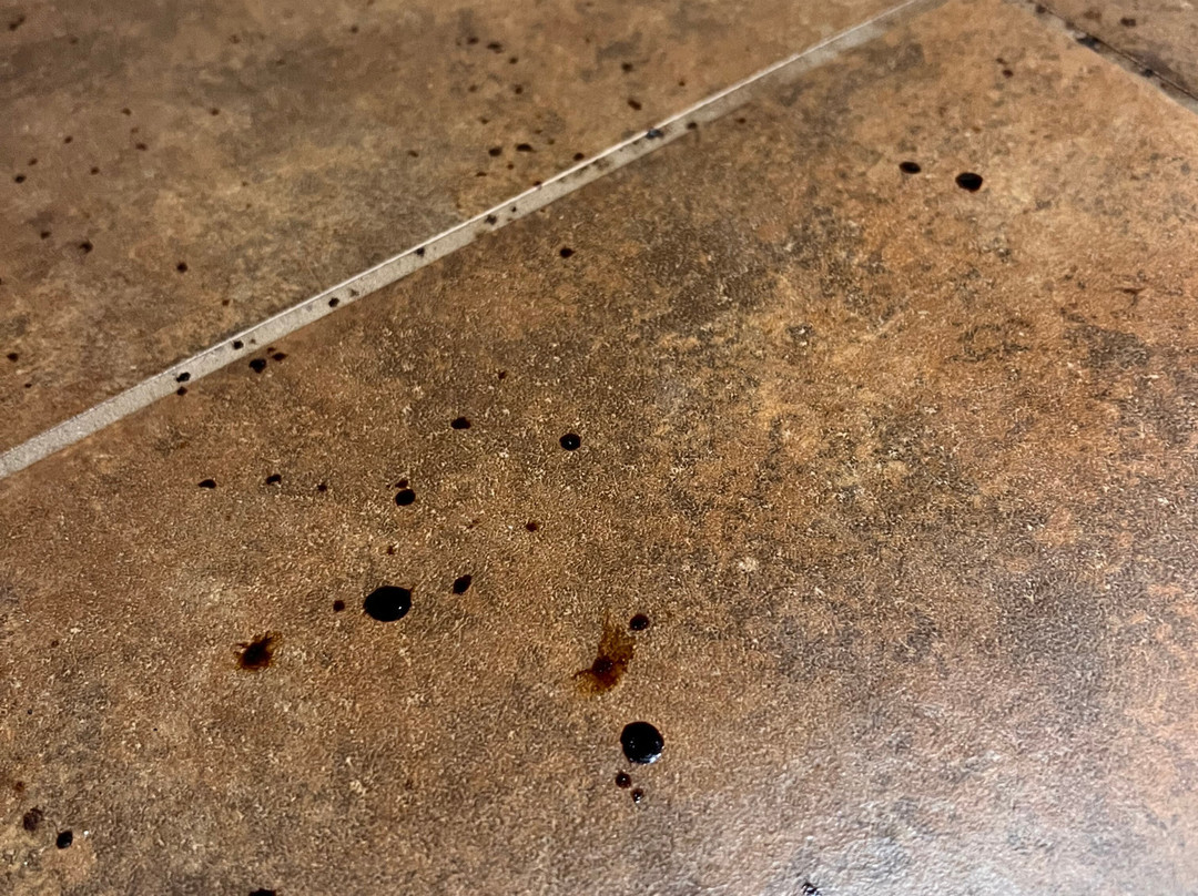 Pleasant Night Inn - Fort Drum主图