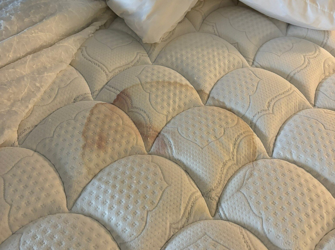 AmericInn by Wyndham Jackson主图