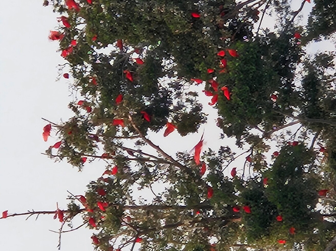 Pousada Dos Ventos主图