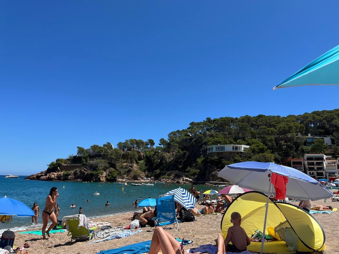Playa Sa Riera景点图片