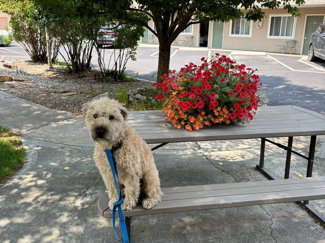 Lakeside Motel主图