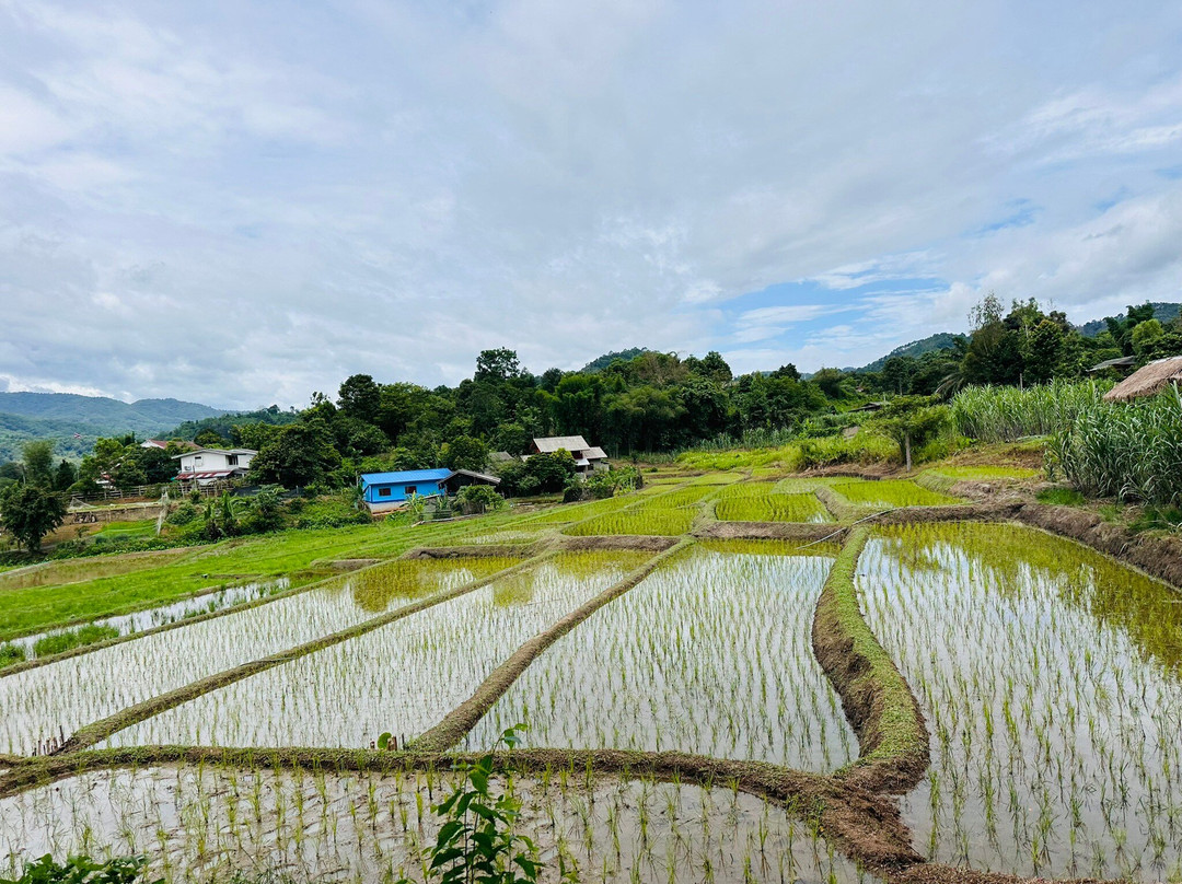 Chiang Rai UTV adventure tours-清莱必去景点