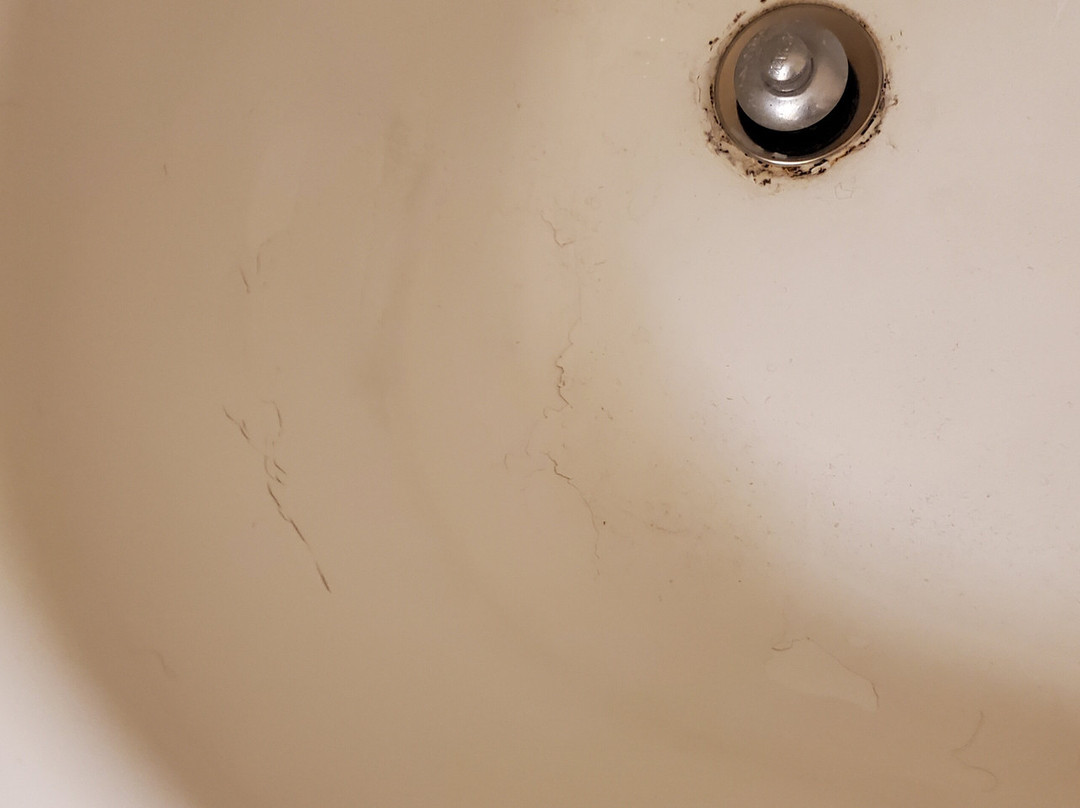 Extended Stay America Suites Newark Woodbridge主图