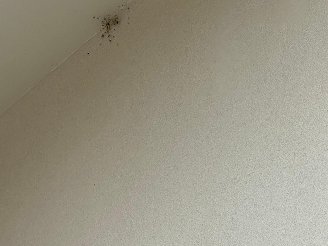 Green Mill Village Hotel & Suites, BW Signature Collection主图