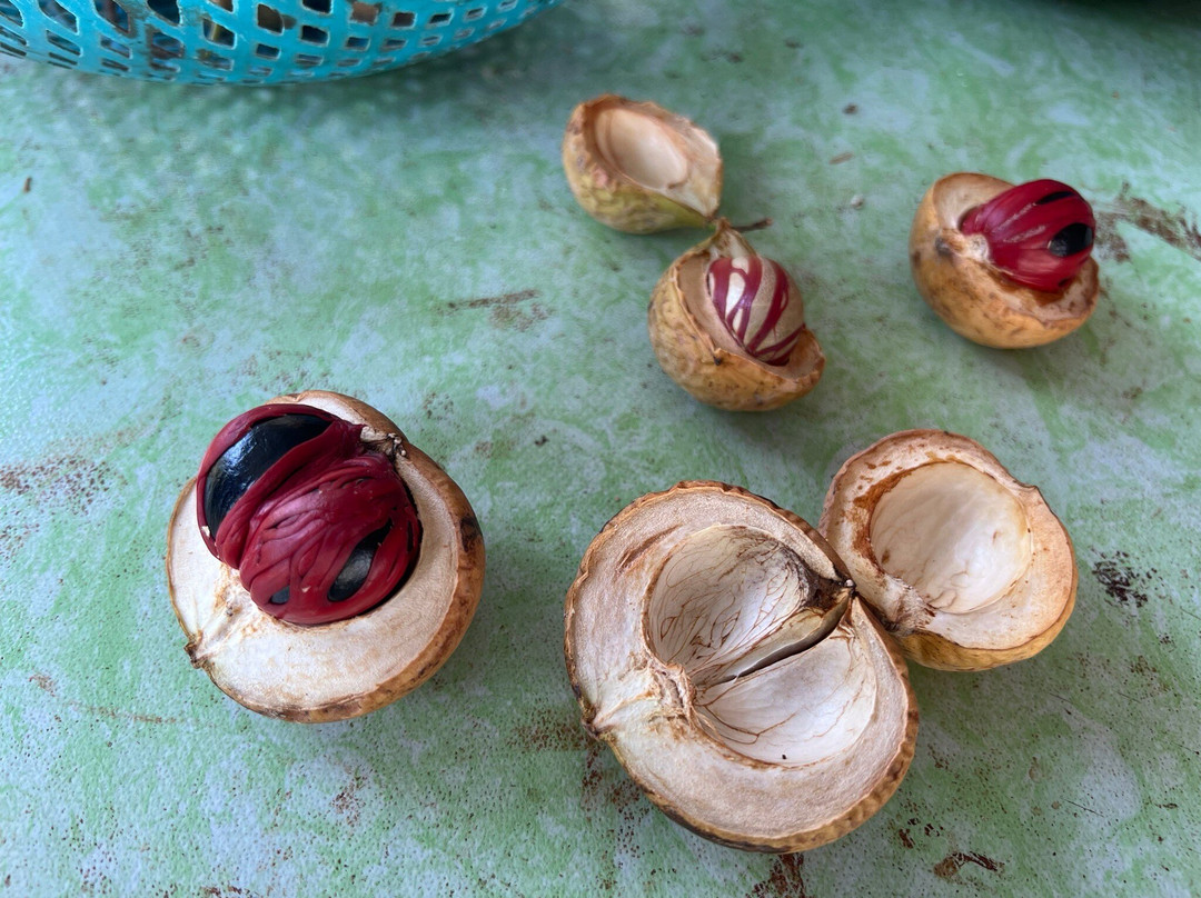 Ghee Hup Nutmeg Factory-浮罗山背必去景点