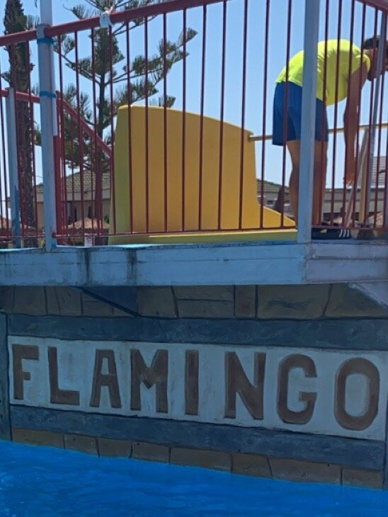 Aquapark Flamingo景点图片