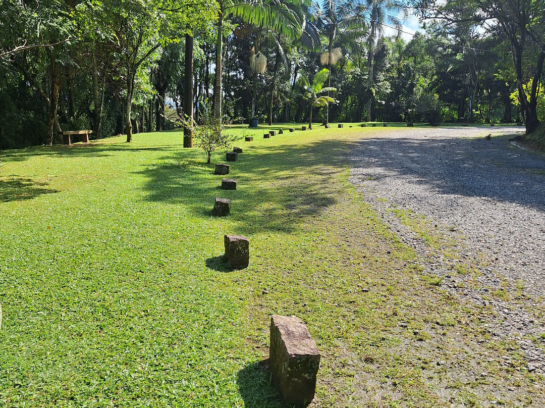 Casa Fritz Alt Museum-Joinville必去景点