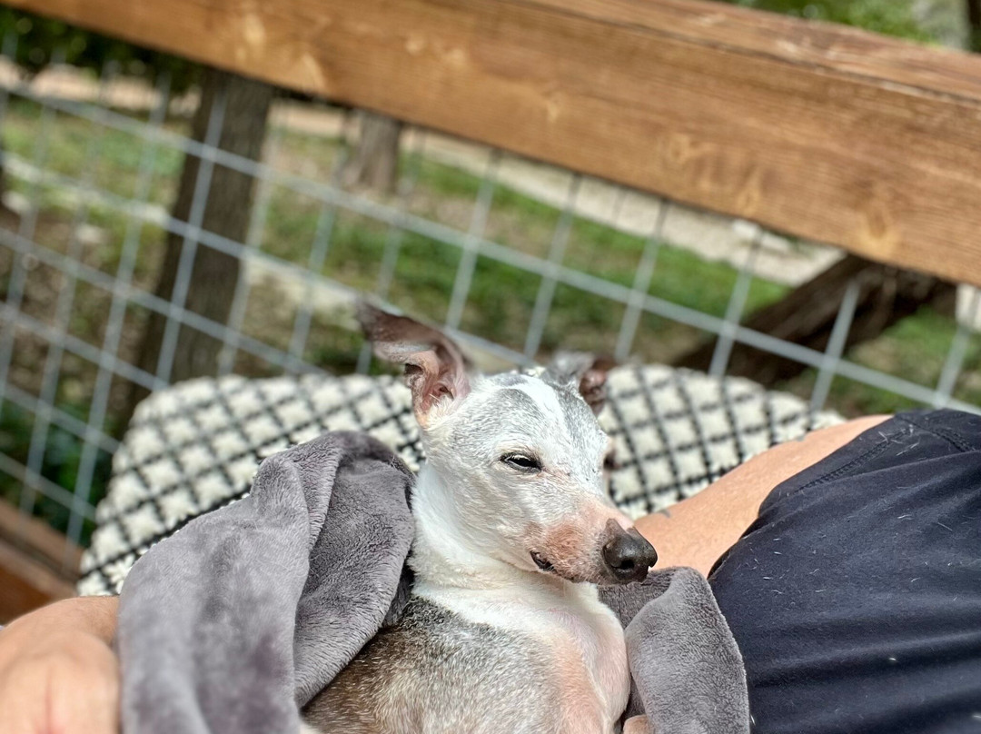 Wimberley Inn + Bar主图