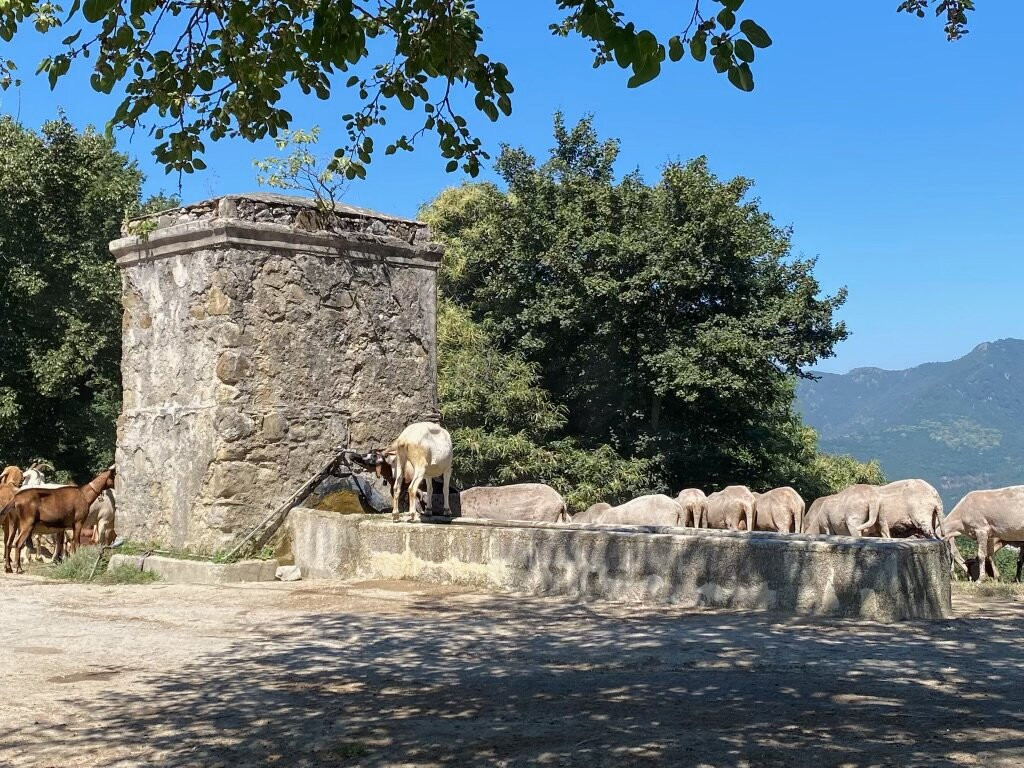 San Mango Piemonte旅游攻略图片
