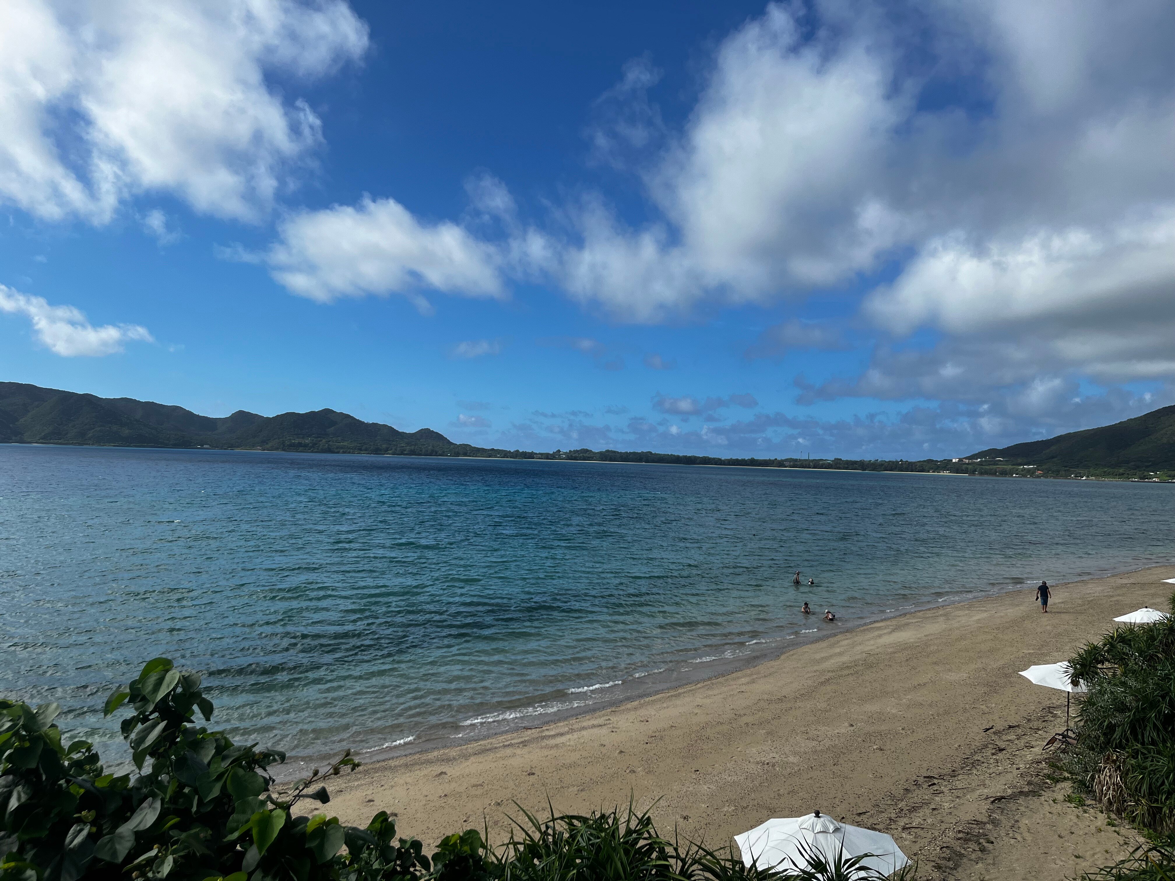Nest at Amami Beach Villas-泳池