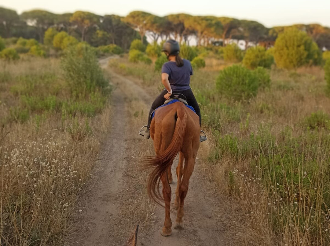 Cavallo Natura景点图片