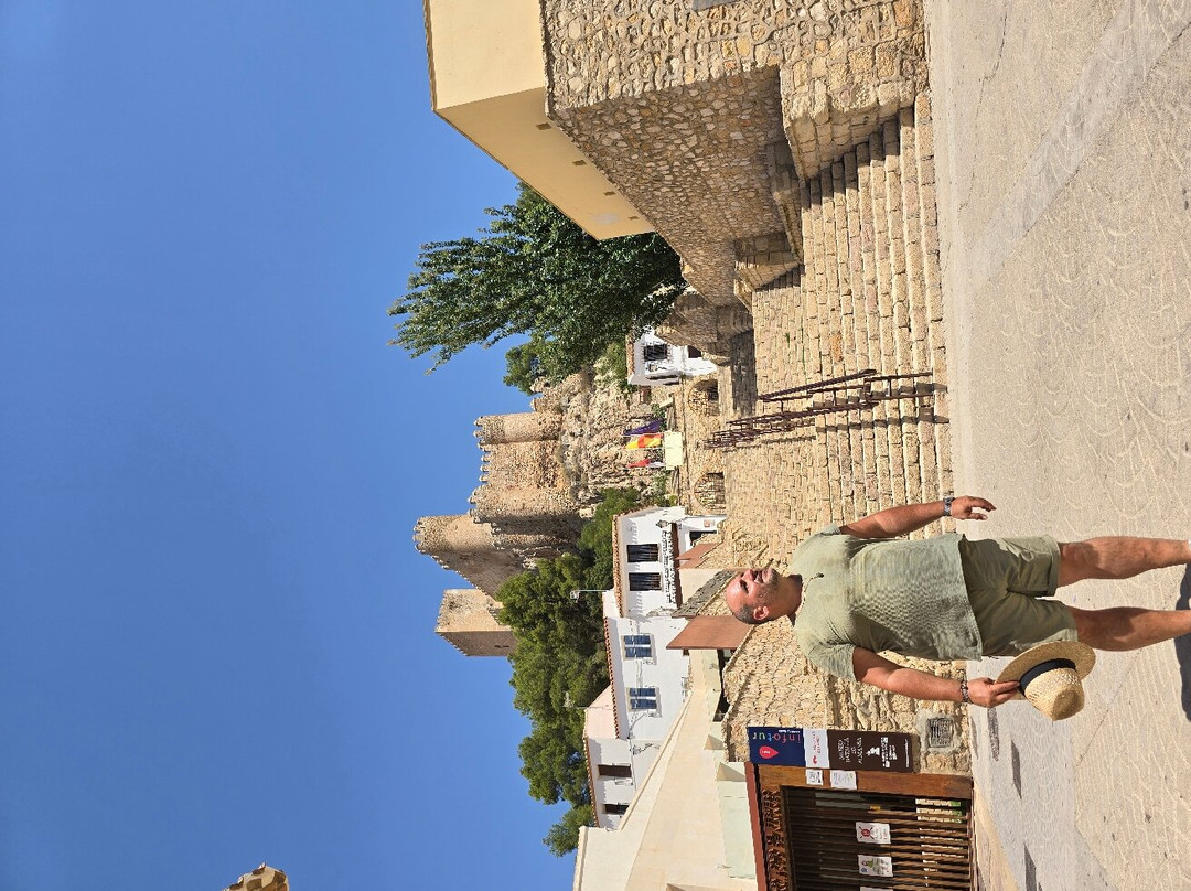 Castillo de Almansa景点图片